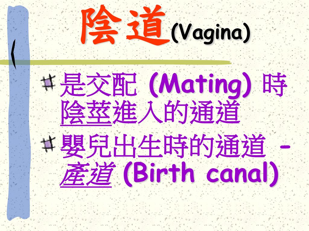 陰道(Vagina) 是交配 (Mating) 時陰莖進入的通道 嬰兒出生時的通道 - 產道 (Birth canal)