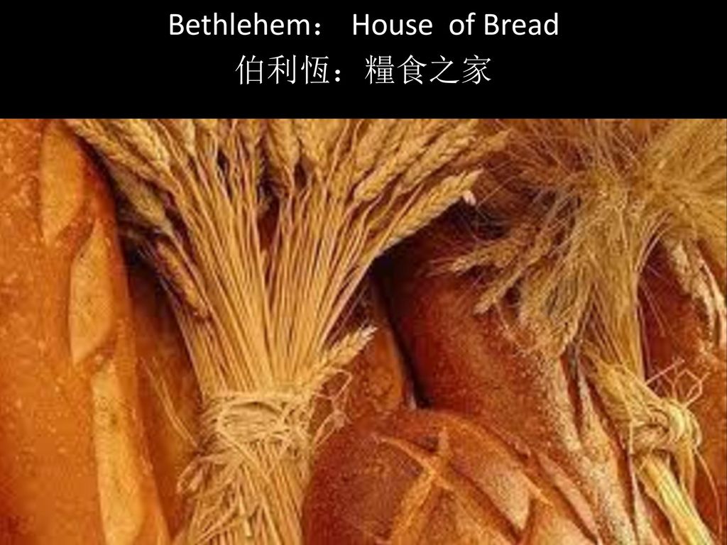 Bethlehem： House of Bread 伯利恆：糧食之家