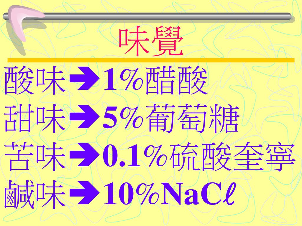 味覺 酸味1%醋酸 甜味5%葡萄糖 苦味0.1%硫酸奎寧 鹹味10%NaC