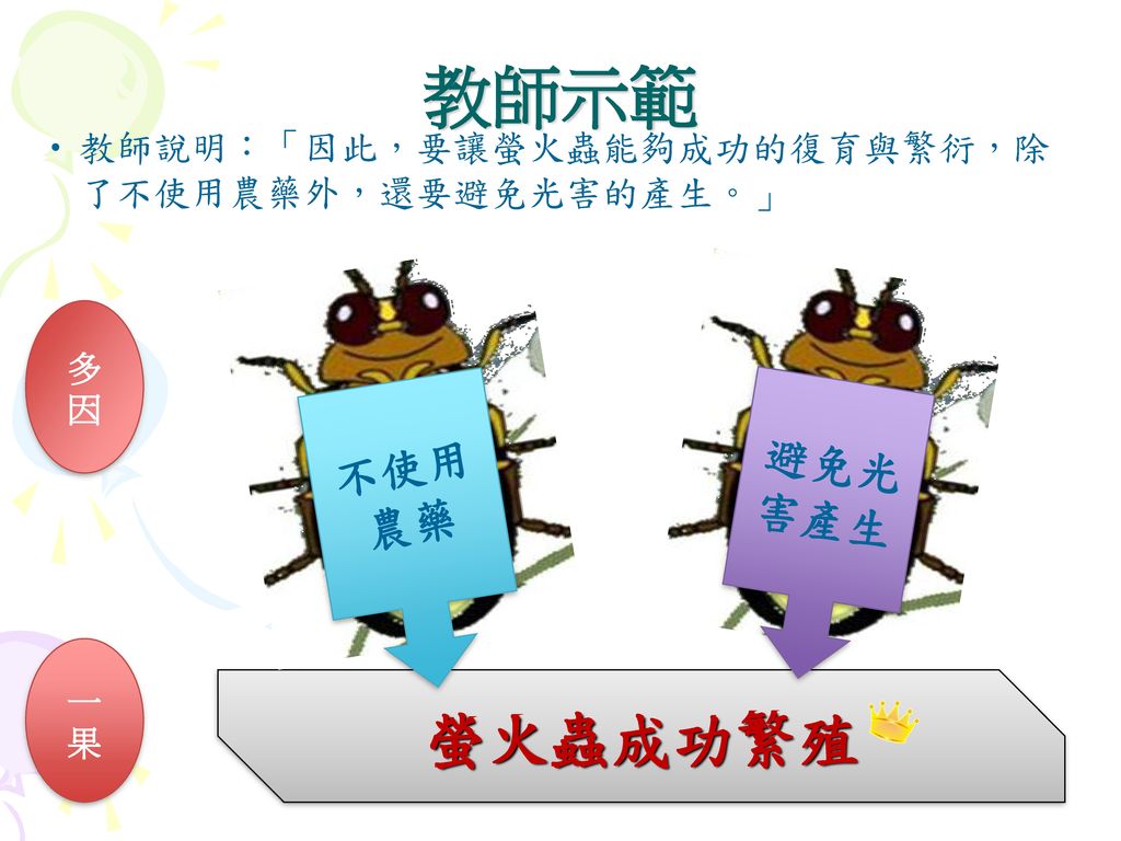 教師示範 螢火蟲成功繁殖 不使用 避免光害產生 農藥