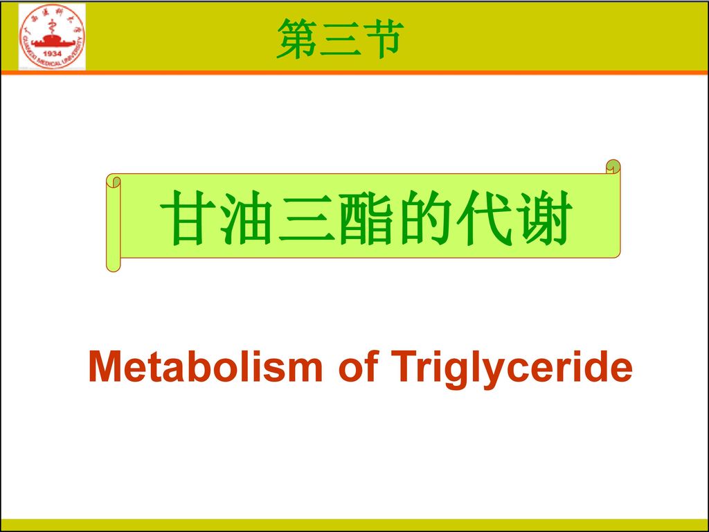 Metabolism of Triglyceride
