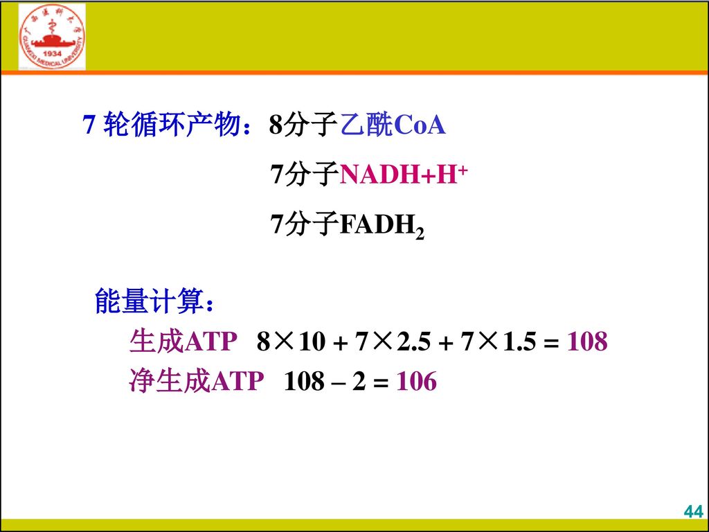 7 轮循环产物：8分子乙酰CoA 7分子NADH+H+ 7分子FADH2 能量计算：