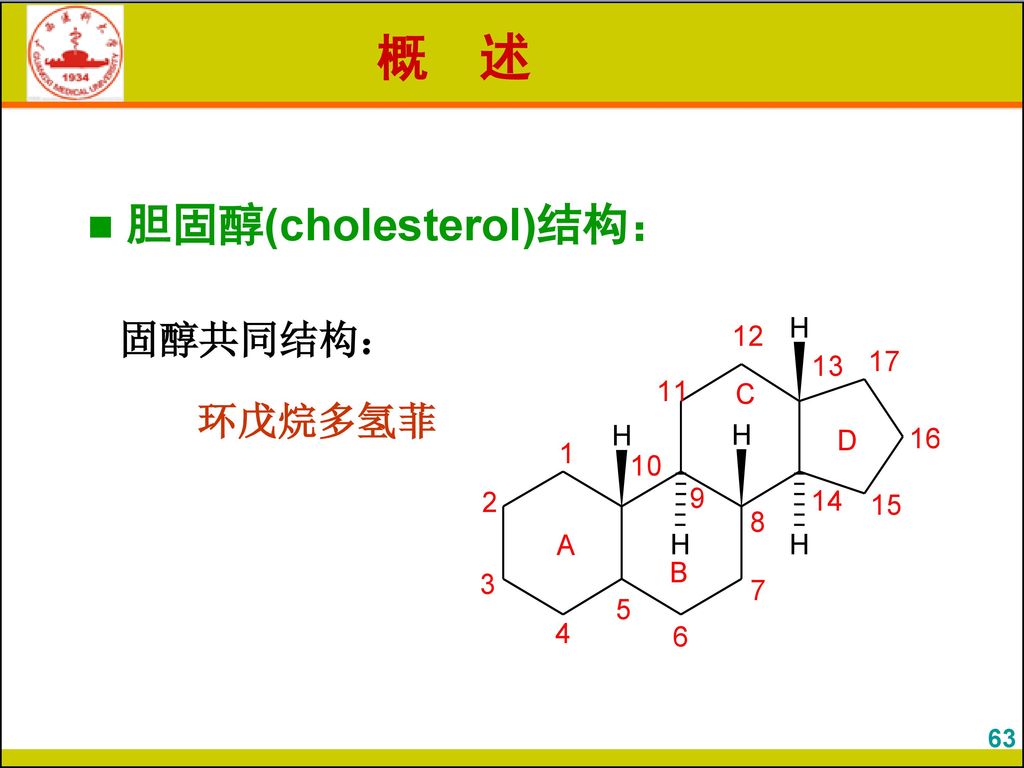 概 述 胆固醇(cholesterol)结构： 固醇共同结构： 环戊烷多氢菲 63