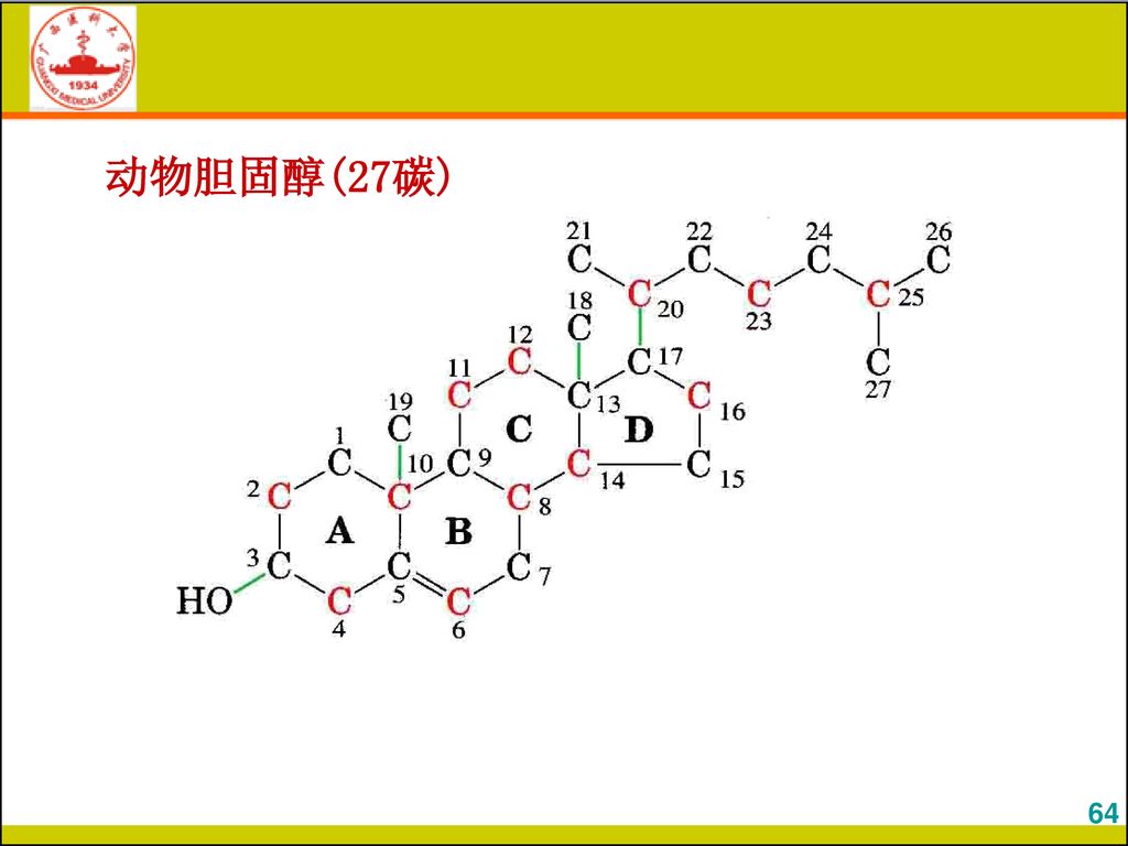 动物胆固醇(27碳) 64