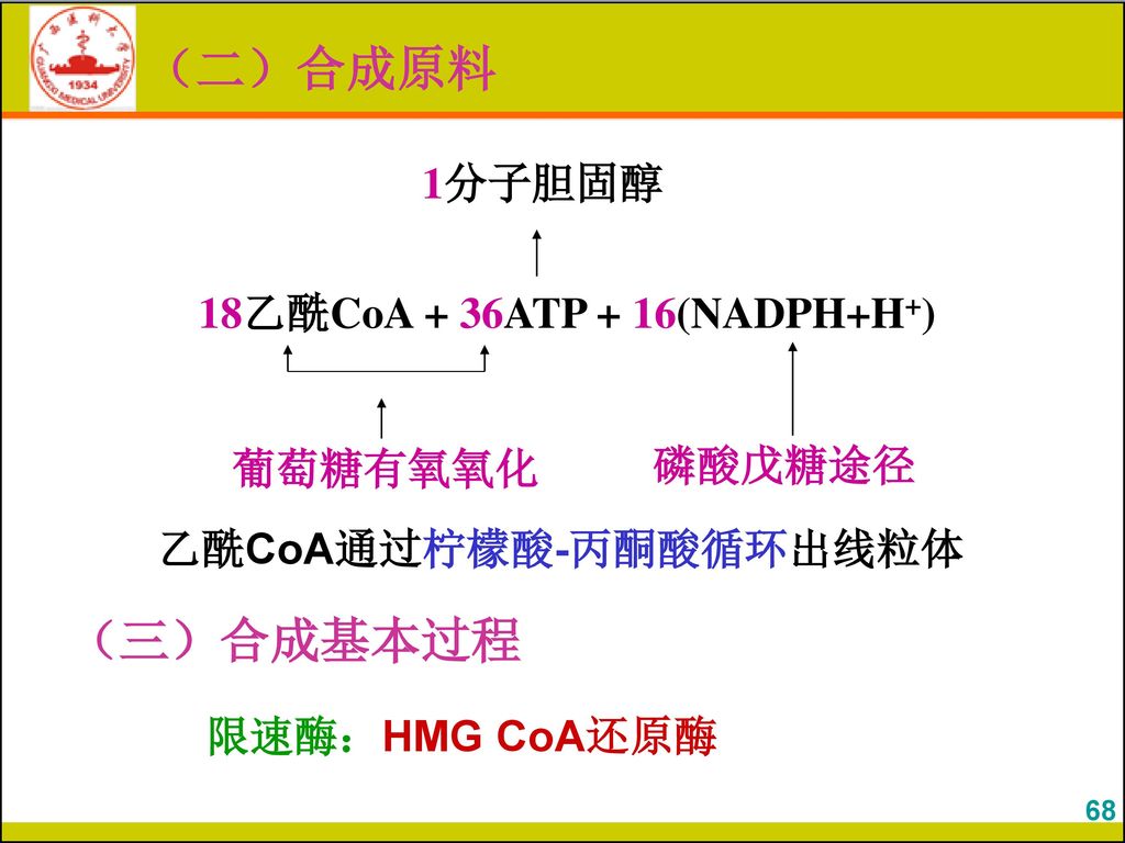 18乙酰CoA + 36ATP + 16(NADPH+H+)