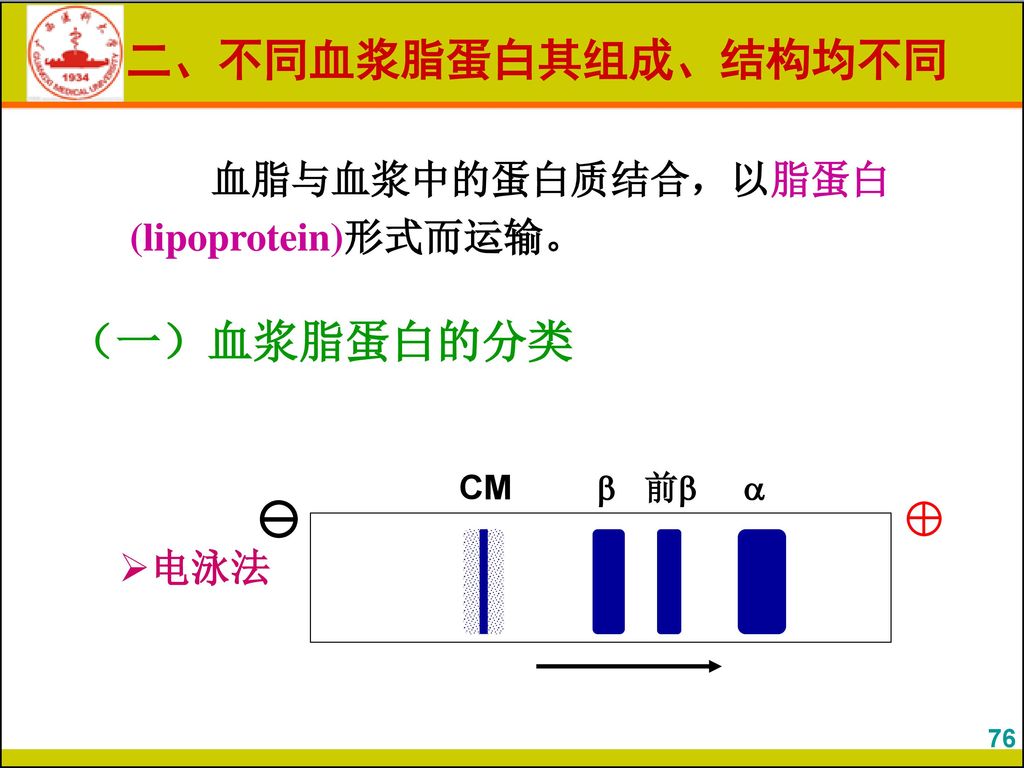 二、不同血浆脂蛋白其组成、结构均不同 （一）血浆脂蛋白的分类  ♁