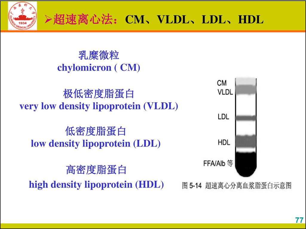 超速离心法：CM、VLDL、LDL、HDL