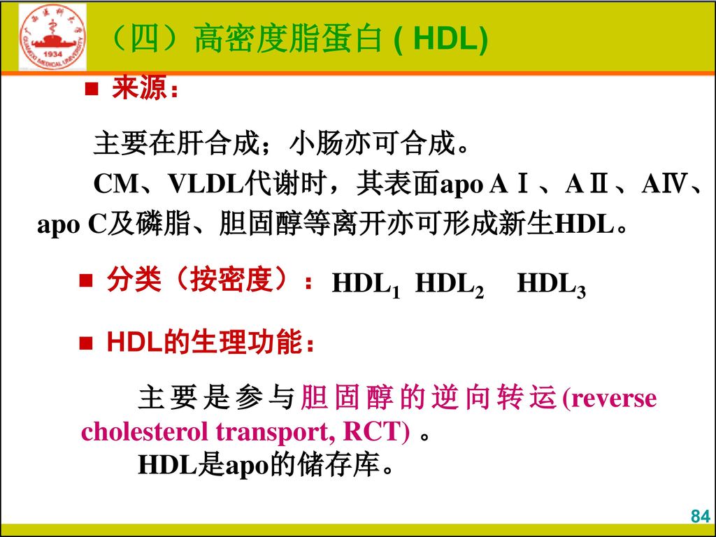 （四）高密度脂蛋白 ( HDL) 来源： 主要在肝合成；小肠亦可合成。