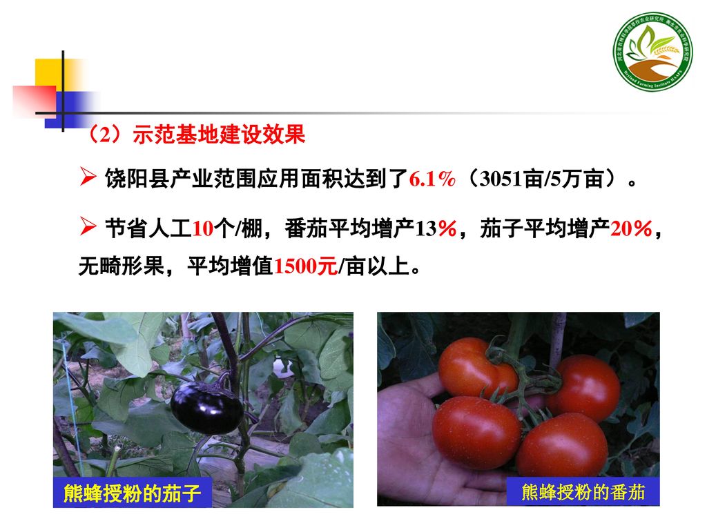 饶阳县产业范围应用面积达到了6.1%（3051亩/5万亩）。