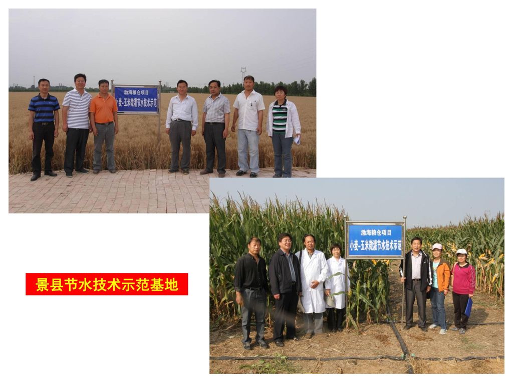 景县节水技术示范基地