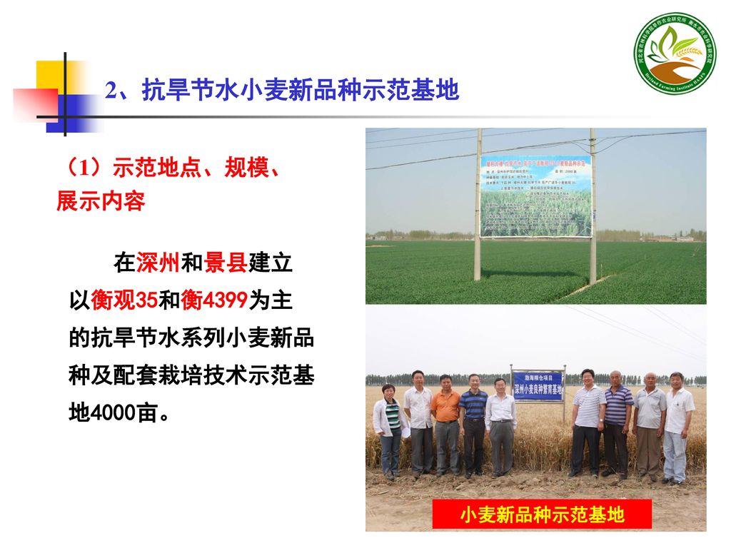 2、抗旱节水小麦新品种示范基地 （1）示范地点、规模、展示内容