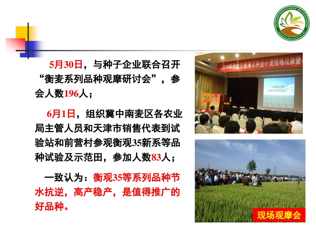 5月30日，与种子企业联合召开 衡麦系列品种观摩研讨会 ，参会人数196人；