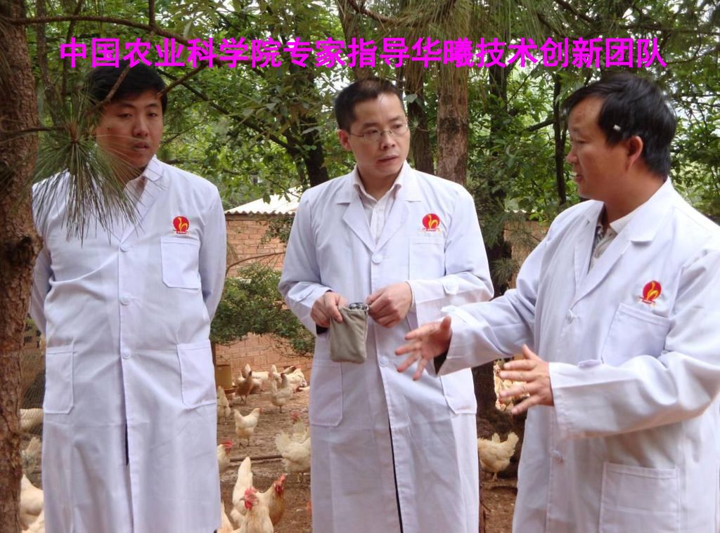 中国农业科学院专家指导华曦技术创新团队