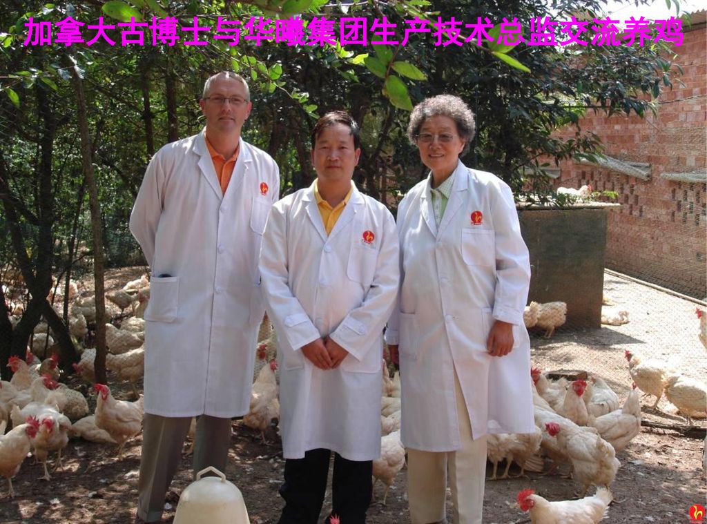 加拿大古博士与华曦集团生产技术总监交流养鸡