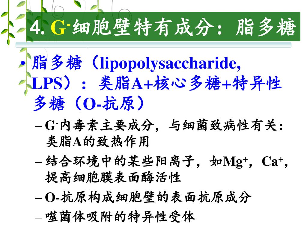 4. G-细胞壁特有成分：脂多糖 脂多糖（lipopolysaccharide, LPS）：类脂A+核心多糖+特异性多糖（O-抗原）