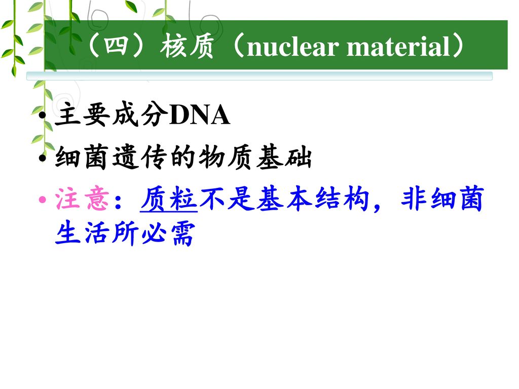 （四）核质（nuclear material）
