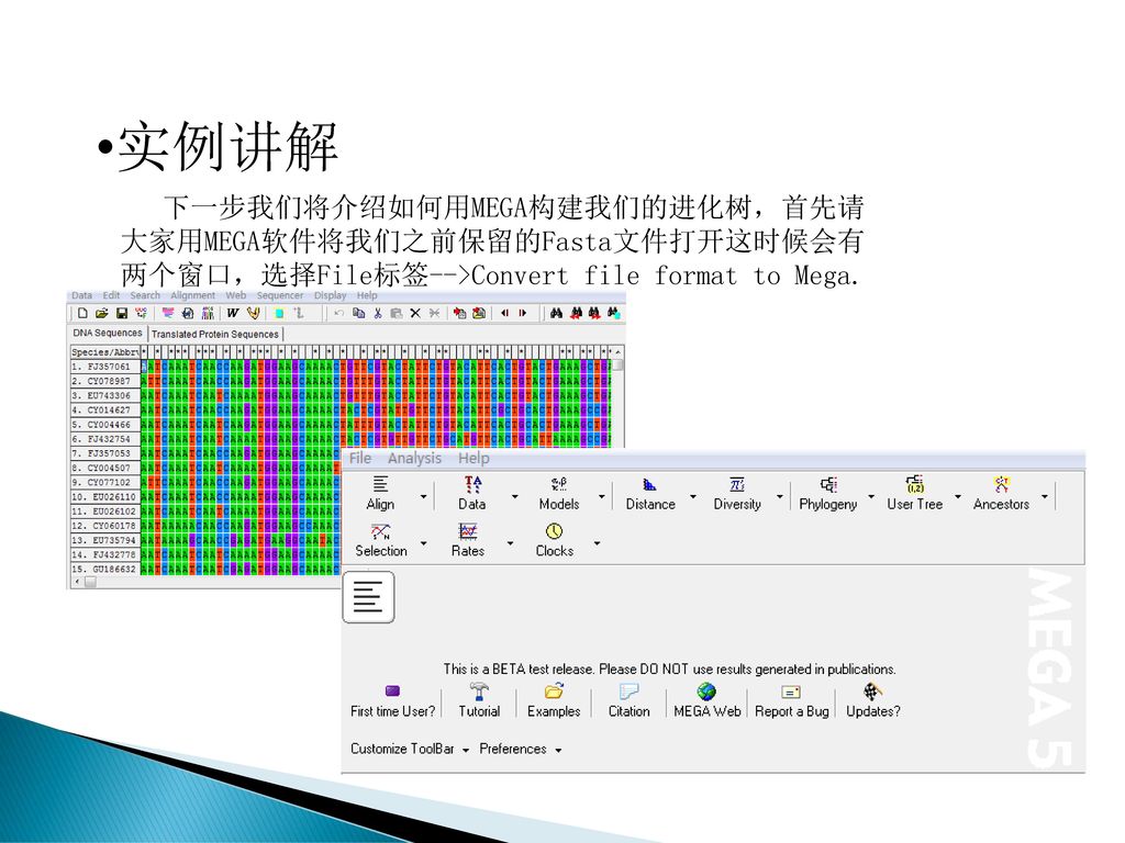 系统进化树的构建方法与软件应用姓名 张镜悬 Ppt Download