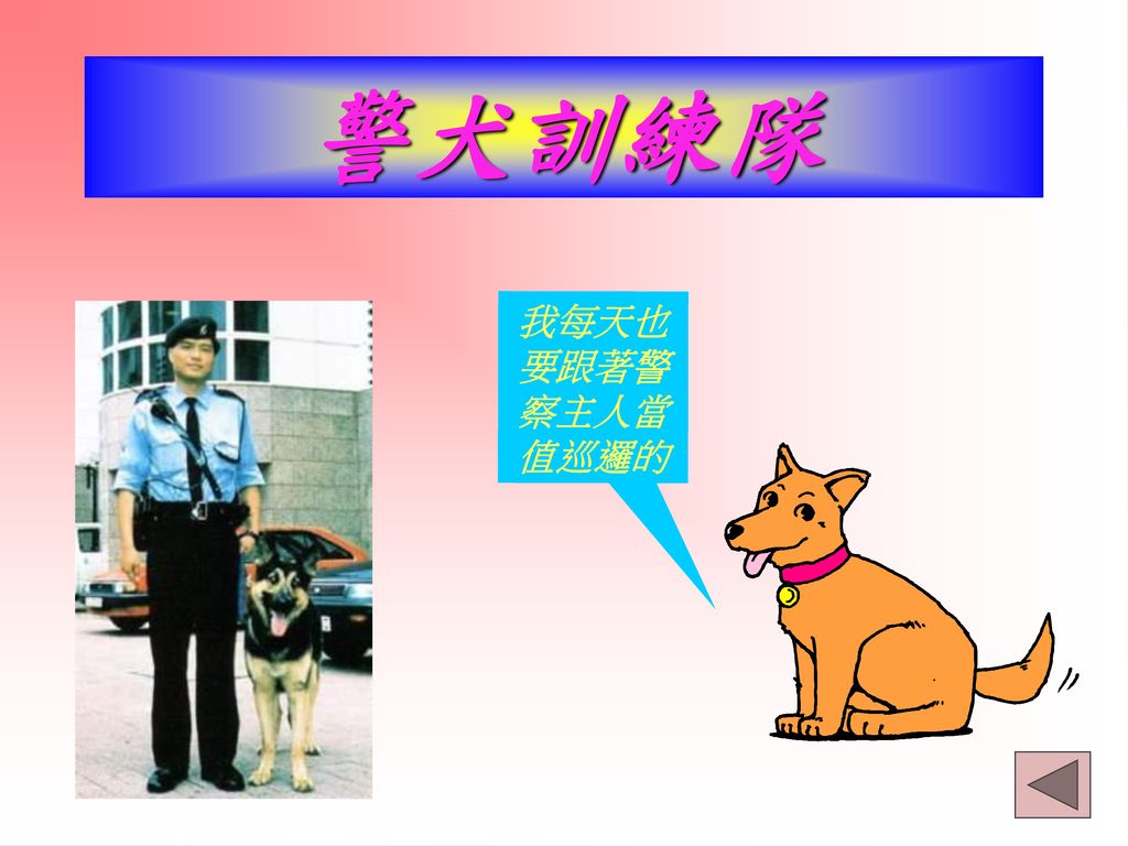 警犬訓練隊 我每天也要跟著警察主人當值巡邏的