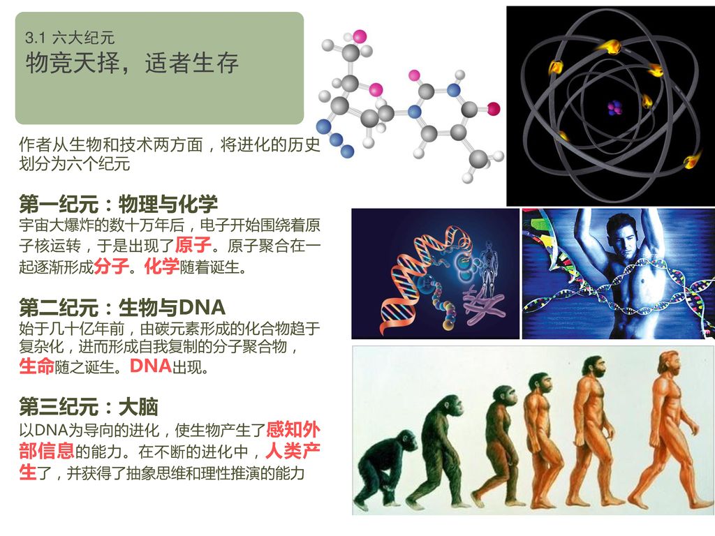物竞天择，适者生存 第一纪元：物理与化学 第二纪元：生物与DNA 第三纪元：大脑 生命随之诞生。DNA出现。 3.1 六大纪元