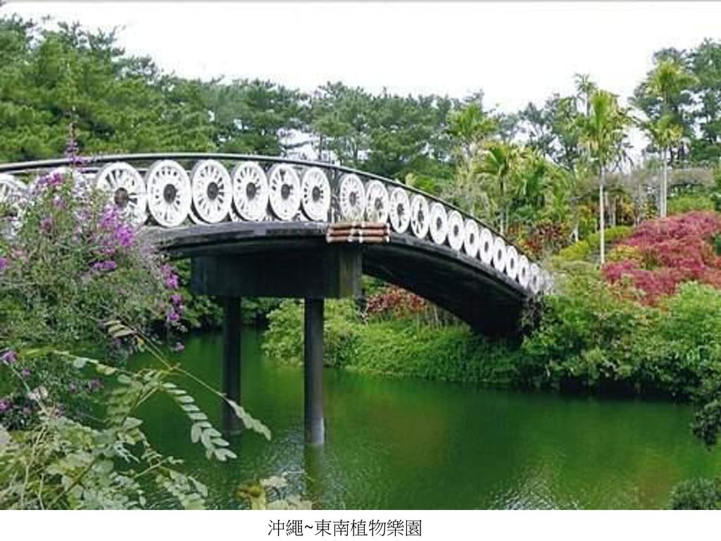 沖繩~東南植物樂園