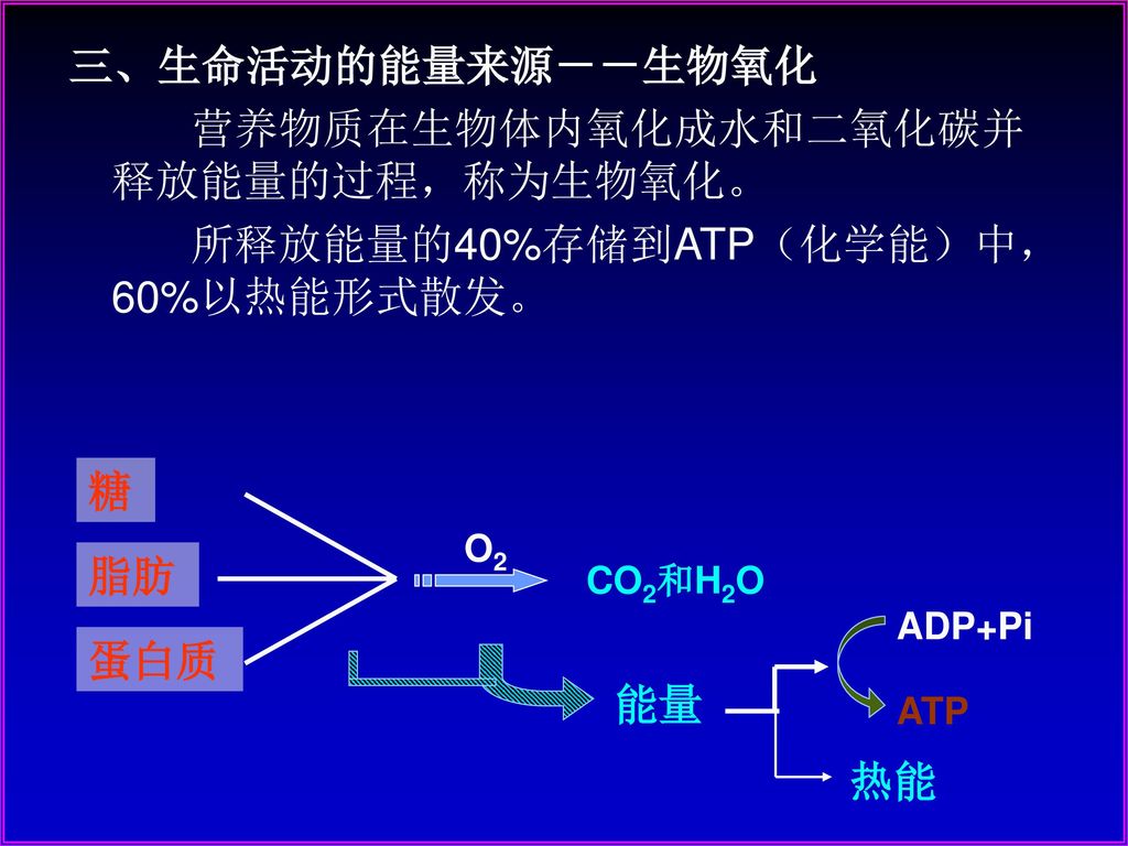 营养物质在生物体内氧化成水和二氧化碳并释放能量的过程，称为生物氧化。 所释放能量的40%存储到ATP（化学能）中， 60%以热能形式散发。