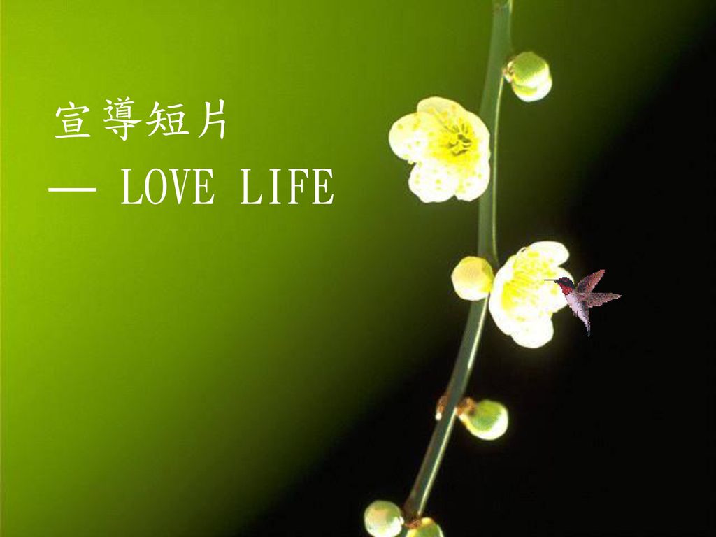 宣導短片 — LOVE LIFE