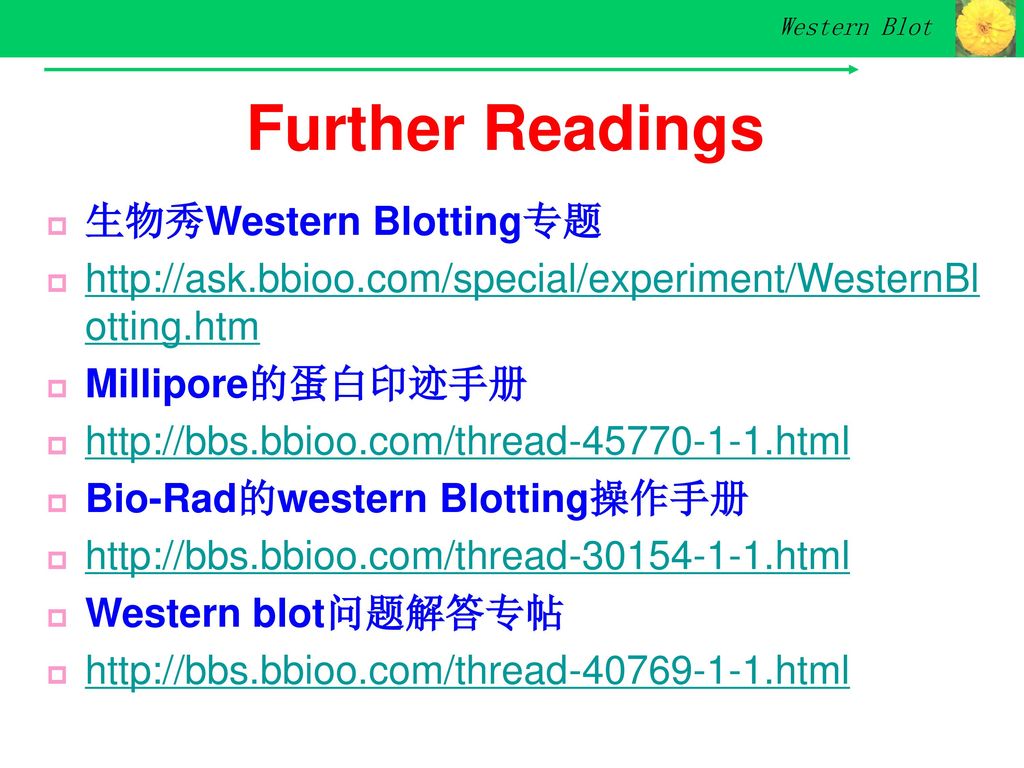 Further Readings 生物秀Western Blotting专题