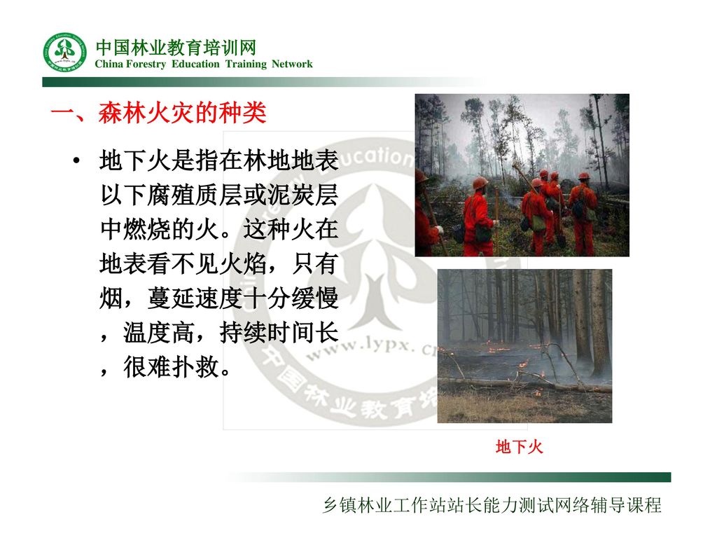 第一讲森林火灾的种类和特点陈钦华 Ppt Download