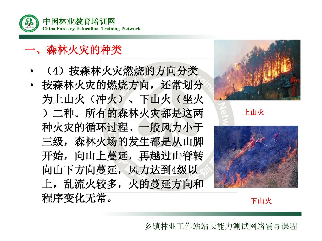 第一讲森林火灾的种类和特点陈钦华 Ppt Download