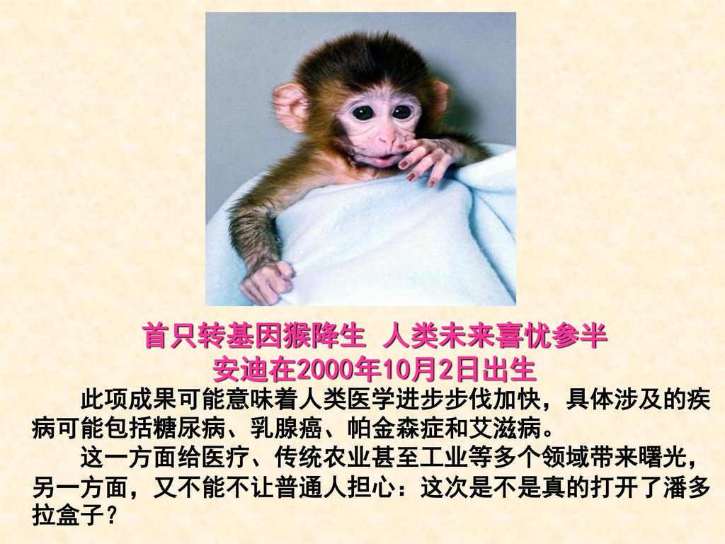 首只转基因猴降生 人类未来喜忧参半 安迪在2000年10月2日出生
