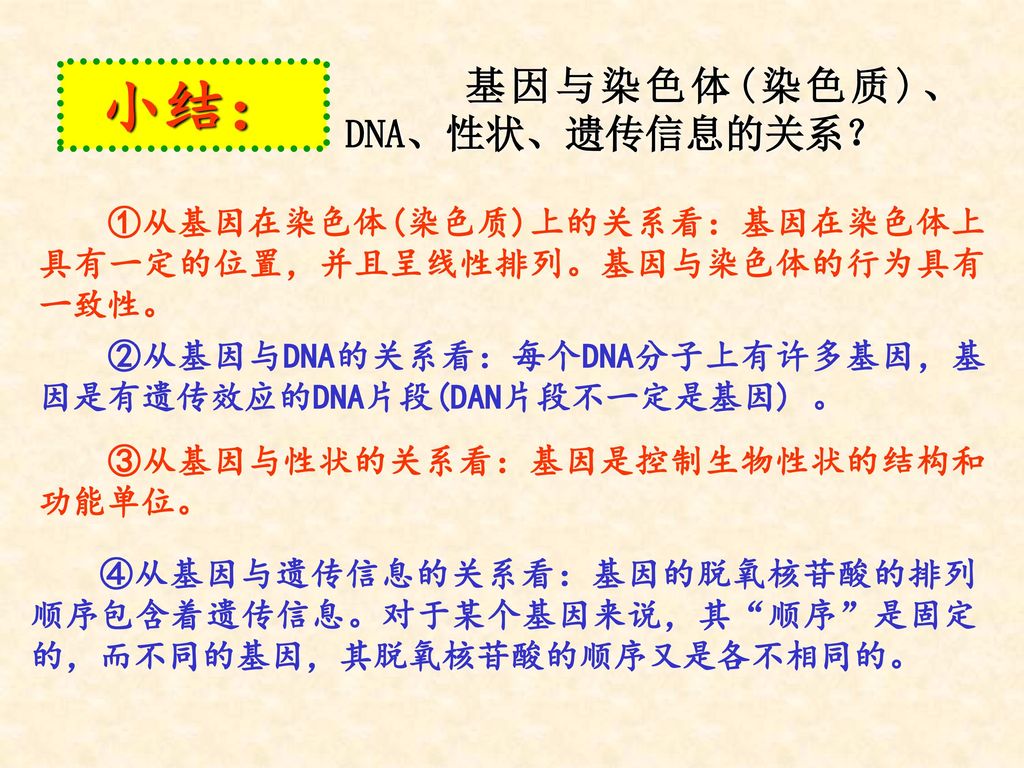 小结： 基因与染色体(染色质)、DNA、性状、遗传信息的关系？