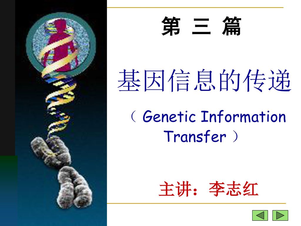 （ Genetic Information Transfer ）