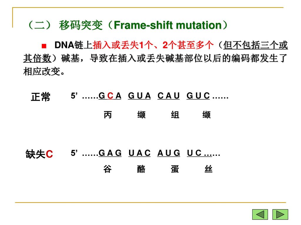 （一）错配 DNA分子上的碱基错配称点突变 (point mutation) 1. 转换