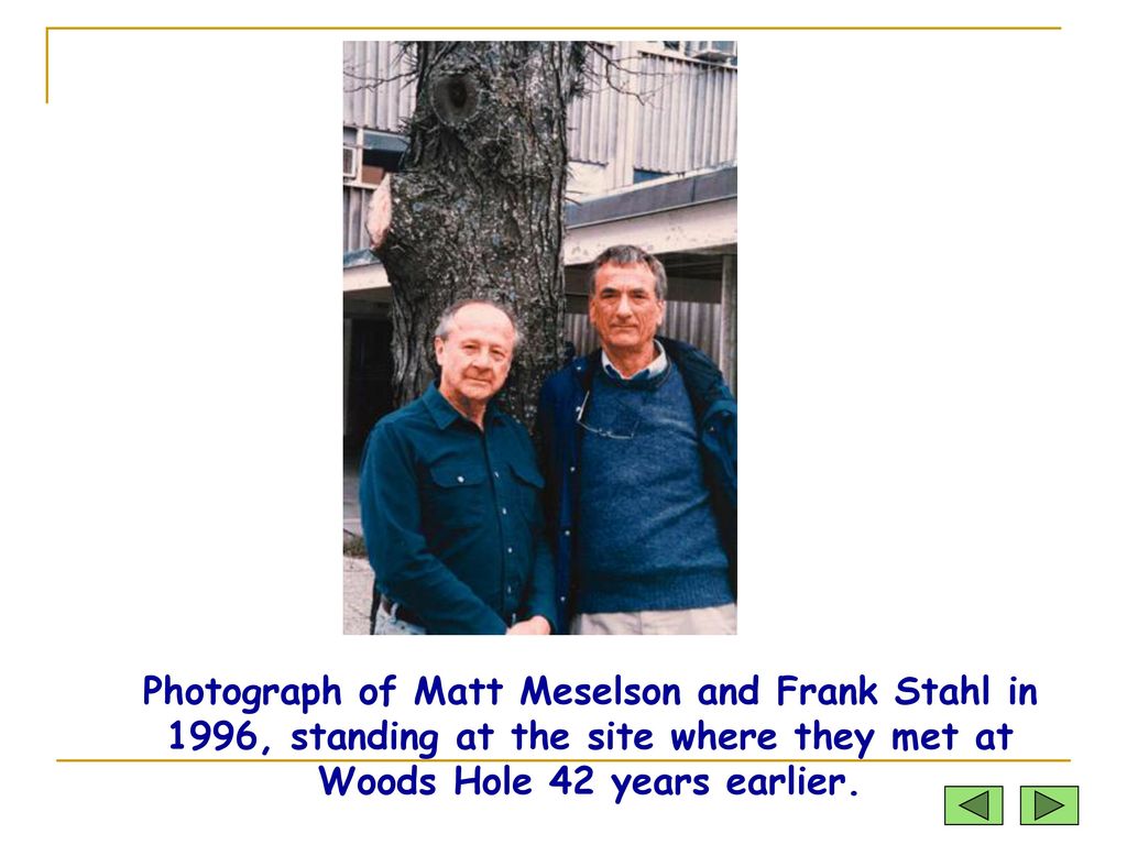 Photograph of Matt Meselson and Frank Stahl in 1996, standing at the site where they met at Woods Hole 42 years earlier.