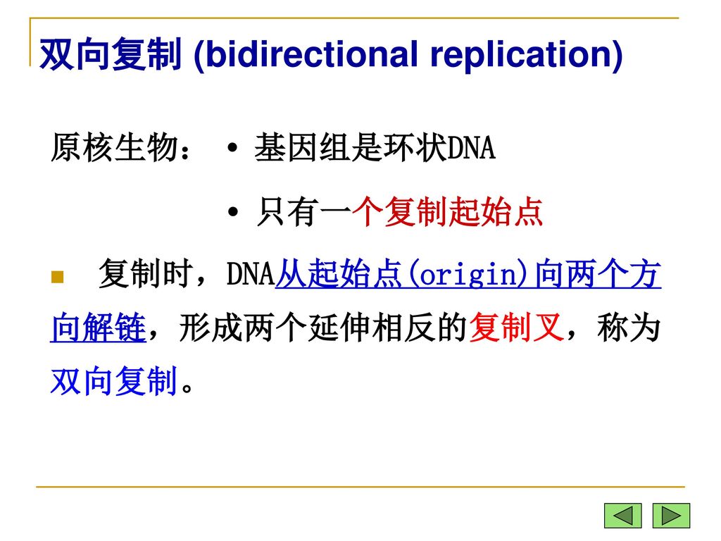 双向复制 (bidirectional replication)