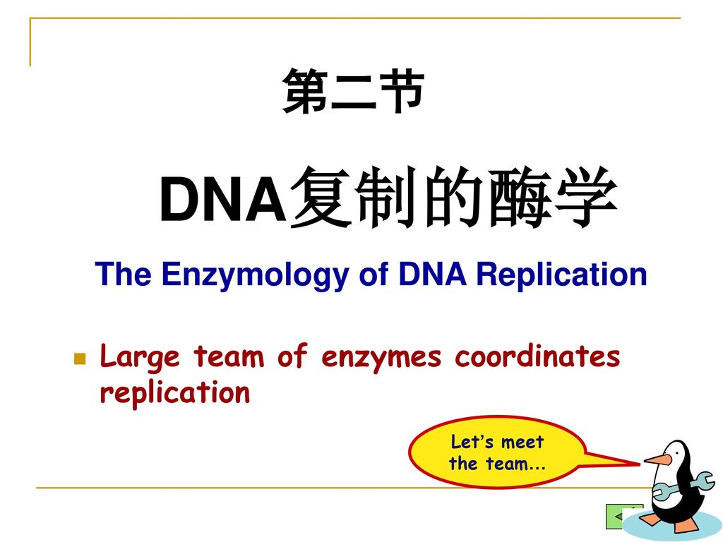 The Enzymology of DNA Replication