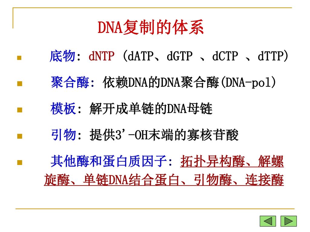 DNA复制的体系 聚合酶: 依赖DNA的DNA聚合酶(DNA-pol) 模板: 解开成单链的DNA母链 引物: 提供3 -OH末端的寡核苷酸