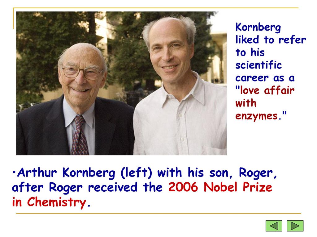 Kornberg liked to refer to his scientific career as a love affair with enzymes.