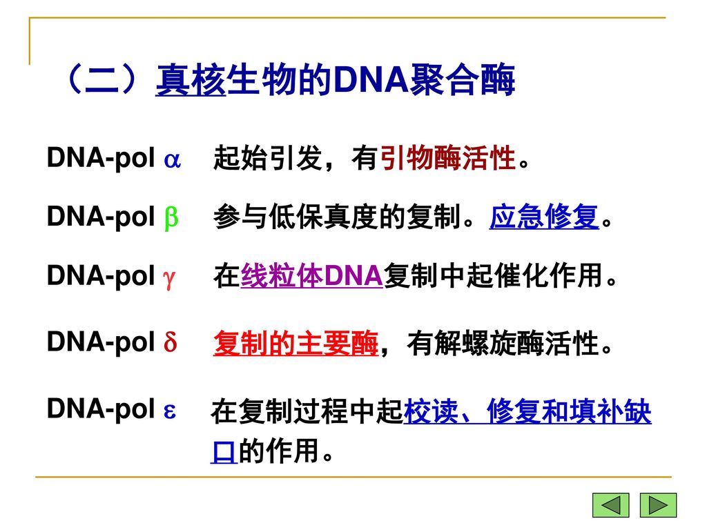 （二）真核生物的DNA聚合酶 DNA-pol  起始引发，有引物酶活性。 DNA-pol  参与低保真度的复制。应急修复。