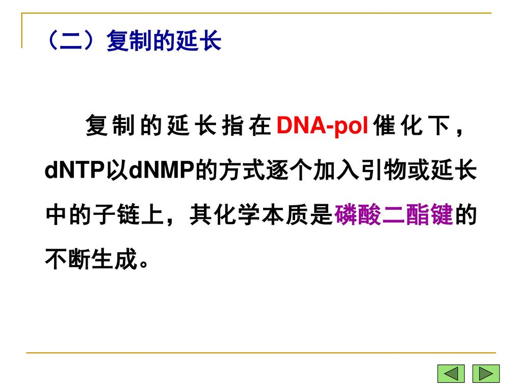 （二）复制的延长 复制的延长指在DNA-pol催化下，dNTP以dNMP的方式逐个加入引物或延长中的子链上，其化学本质是磷酸二酯键的不断生成。