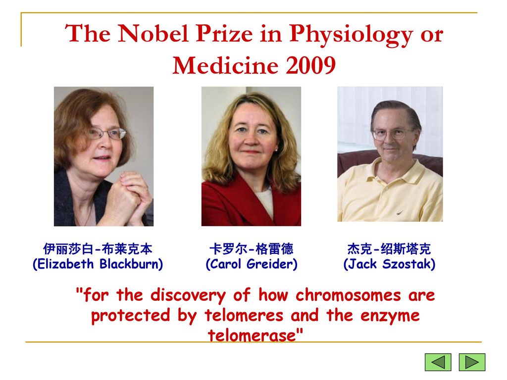 The Nobel Prize in Physiology or Medicine 2009