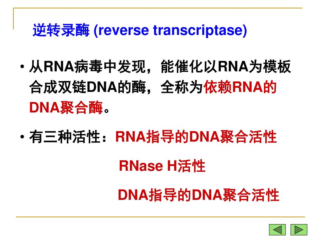 Reverse Transcription and Other DNA Replication Ways