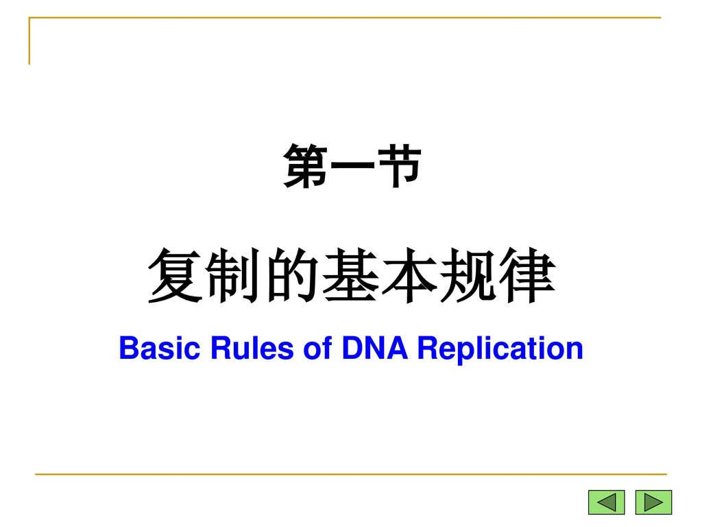 Basic Rules of DNA Replication
