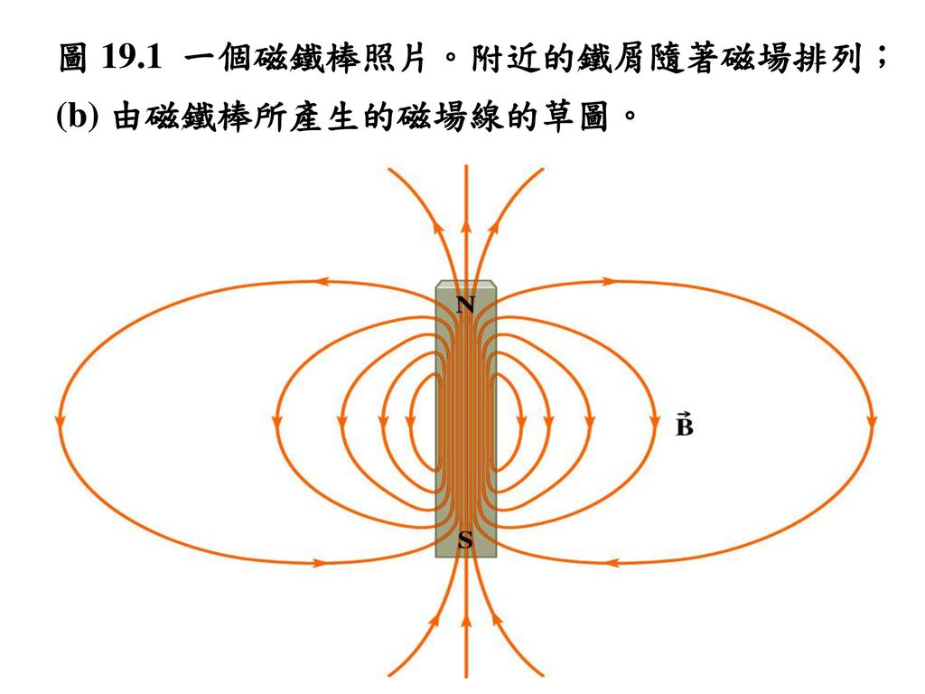 圖 19.1 一個磁鐵棒照片。附近的鐵屑隨著磁場排列；(b) 由磁鐵棒所產生的磁場線的草圖。
