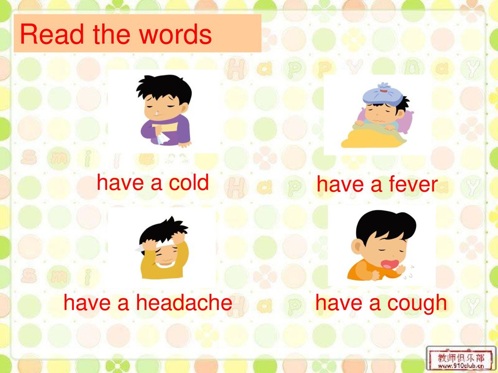Read the words have a cold have a fever have a headache have a cough