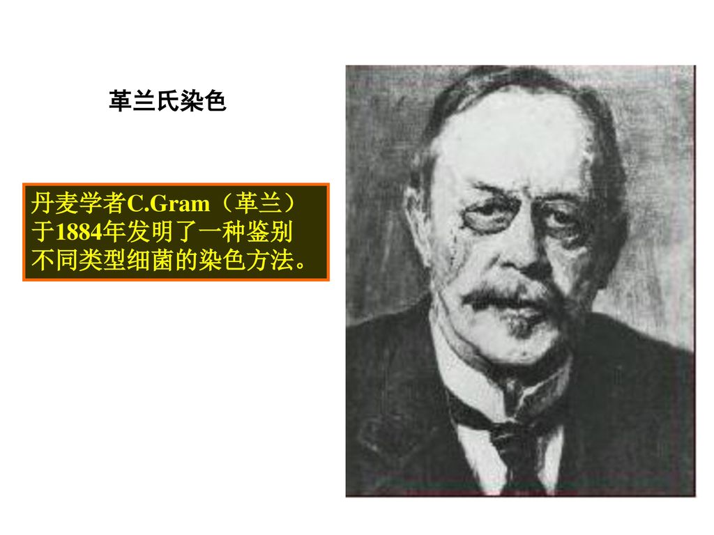 革兰氏染色 丹麦学者C.Gram（革兰） 于1884年发明了一种鉴别 不同类型细菌的染色方法。