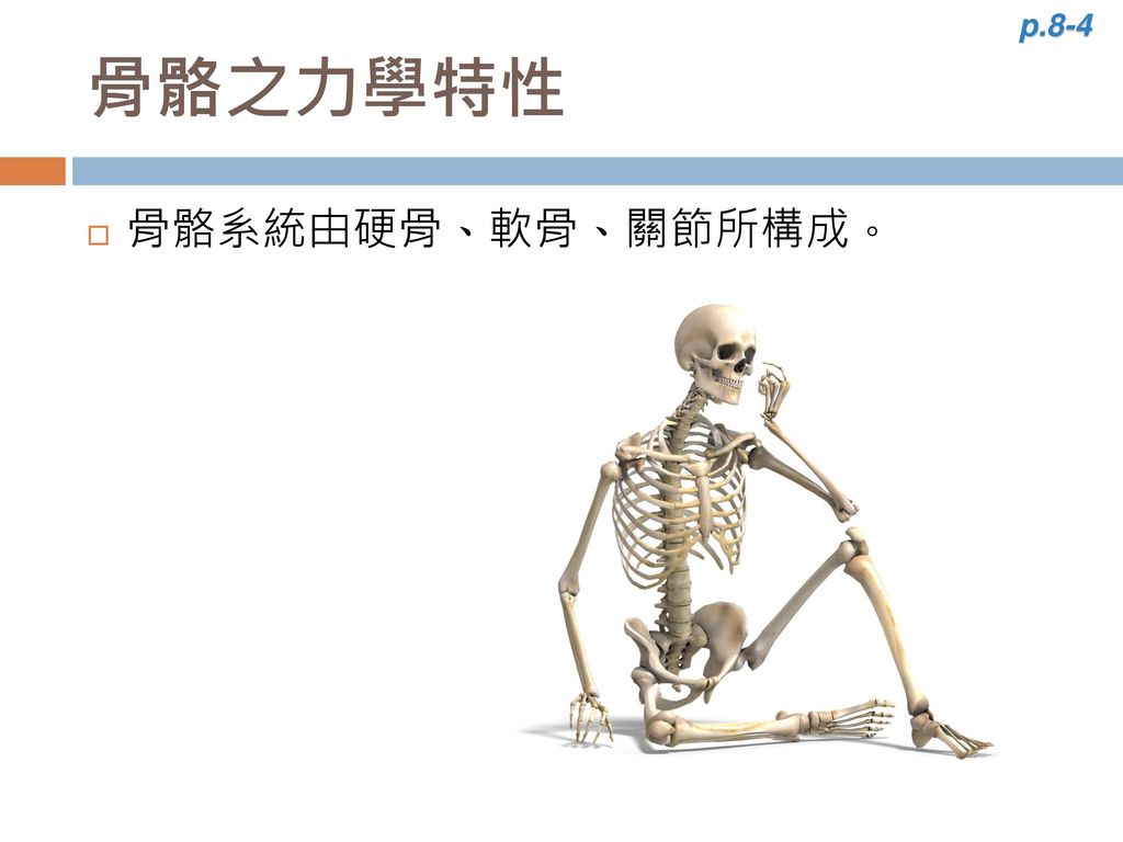 p.8-4 骨骼之力學特性 骨骼系統由硬骨、軟骨、關節所構成。