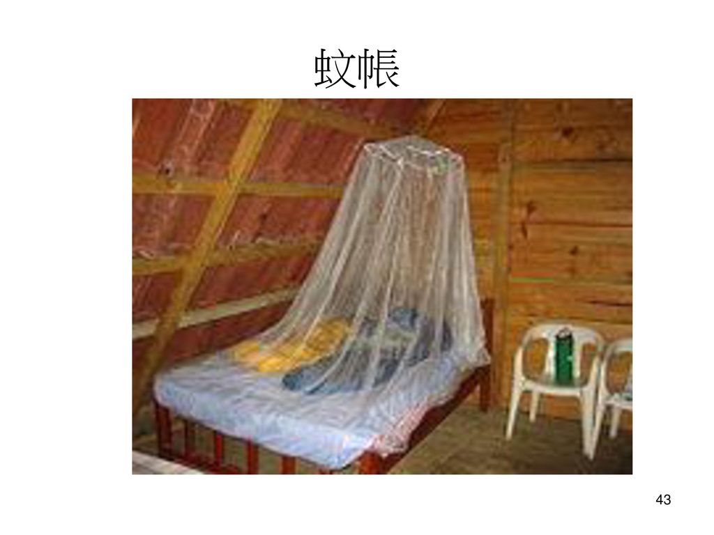 蚊帳