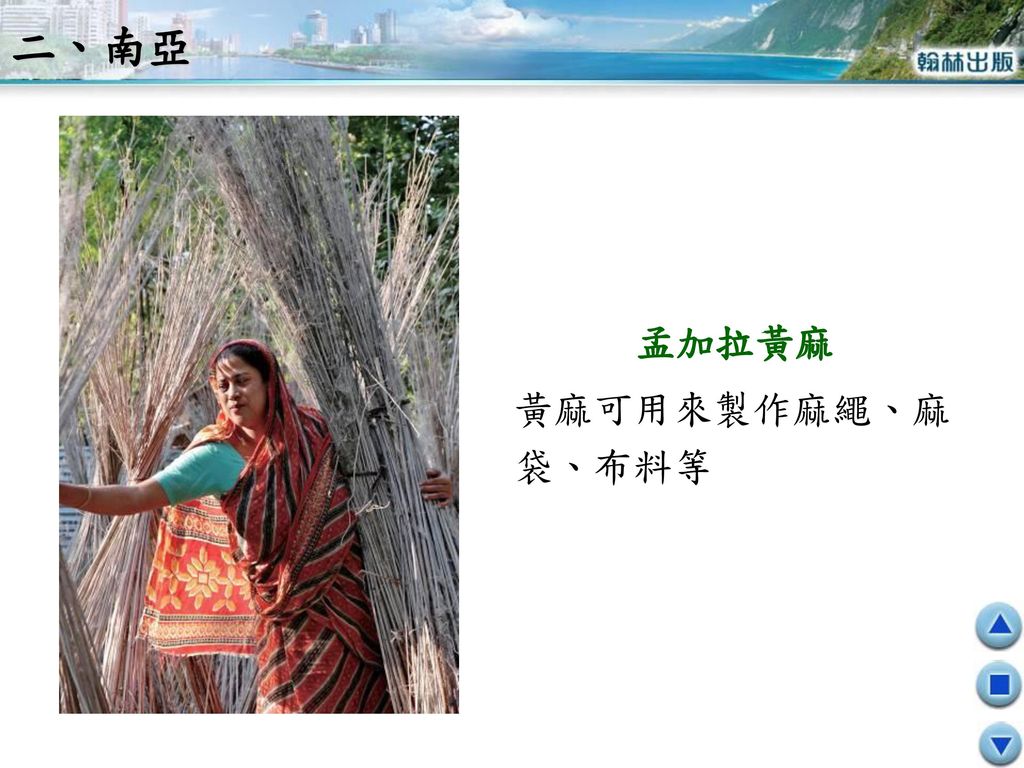 二、南亞 孟加拉黃麻 黃麻可用來製作麻繩、麻袋、布料等