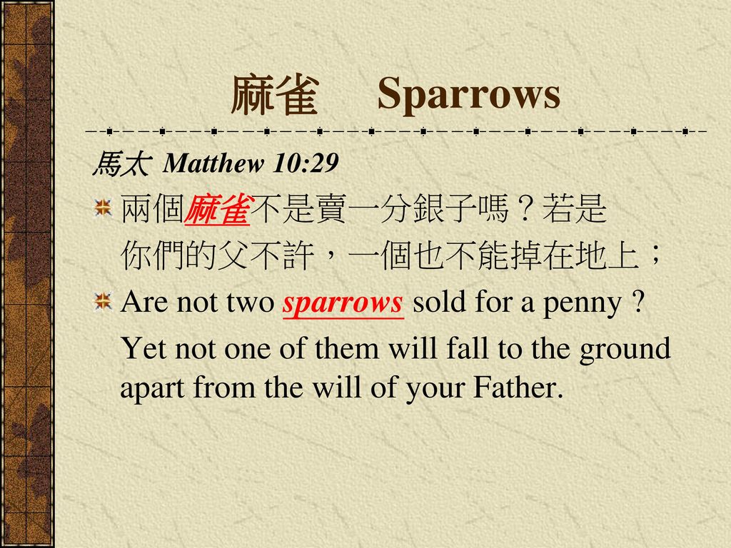 麻雀 Sparrows 兩個麻雀不是賣一分銀子嗎？若是 你們的父不許，一個也不能掉在地上；